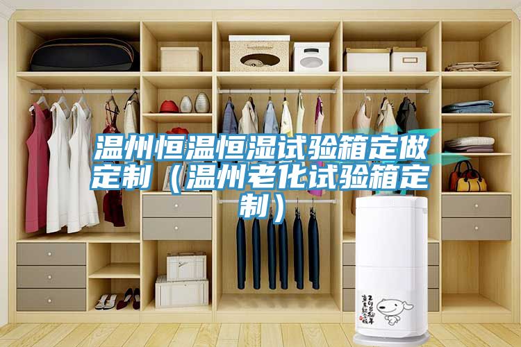 溫州恒溫恒濕試驗箱定做定制(溫州老化試驗箱定制)