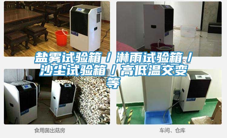 鹽霧試驗(yàn)箱/淋雨試驗(yàn)箱/沙塵試驗(yàn)箱/高低溫交變等