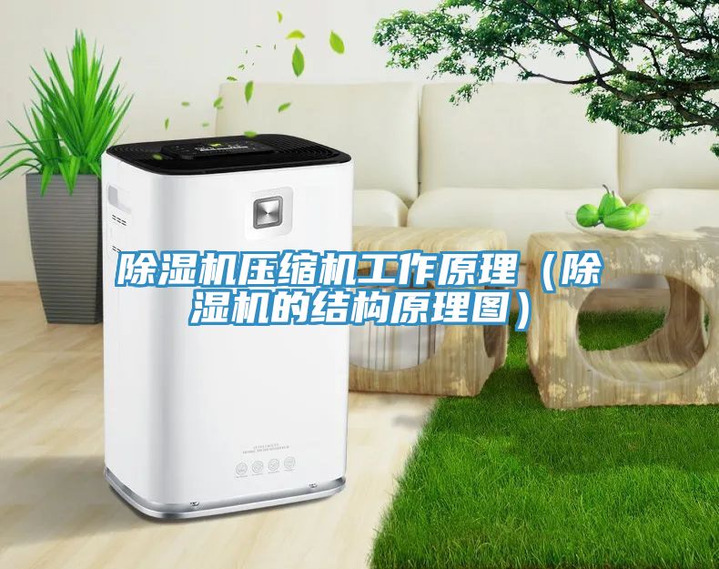 除濕機壓縮機工作原理(除濕機的結(jié)構(gòu)原理圖)
