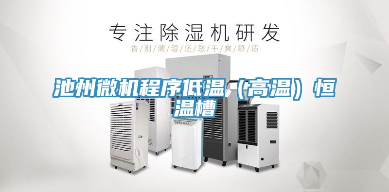 池州微機程序低溫(高溫)恒溫槽