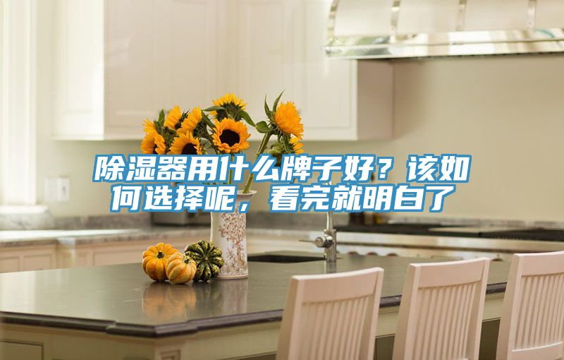 除濕器用什么牌子好？該如何選擇呢，看完就明白了