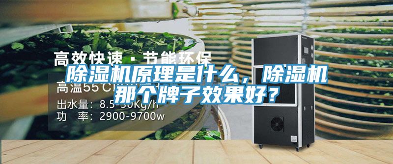 除濕機(jī)原理是什么,除濕機(jī)那個(gè)牌子效果好?