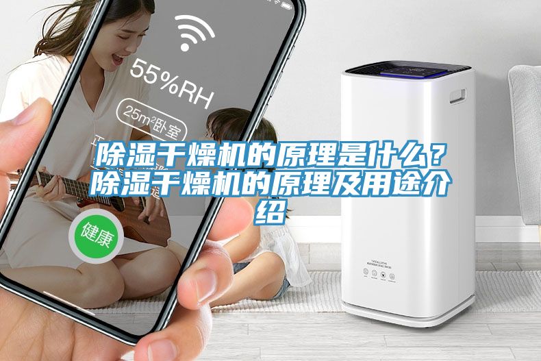 除濕干燥機的原理是什么?除濕干燥機的原理及用途介紹