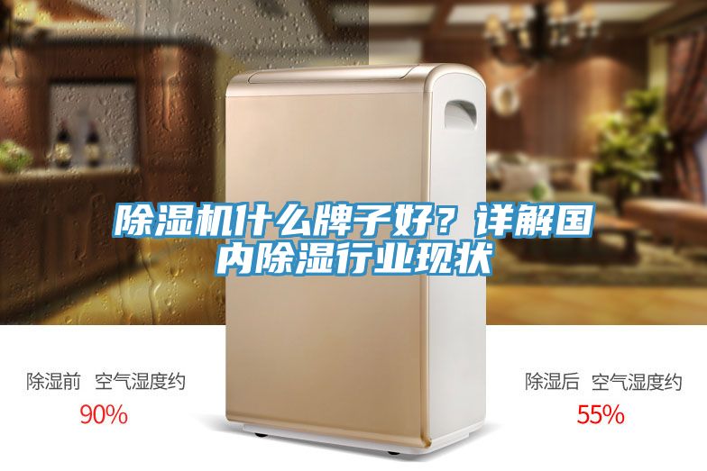 除濕機什么牌子好？詳解國內(nèi)除濕行業(yè)現(xiàn)狀