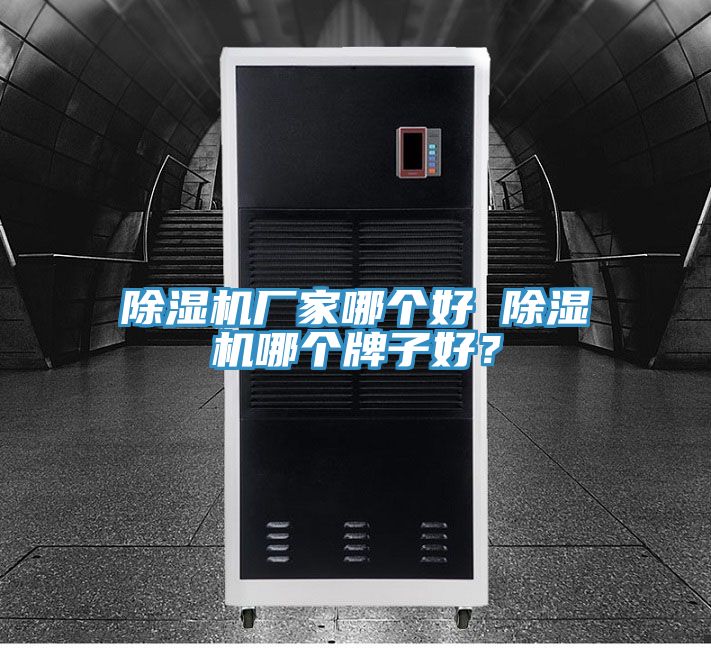 除濕機(jī)廠家哪個(gè)好 除濕機(jī)哪個(gè)牌子好？