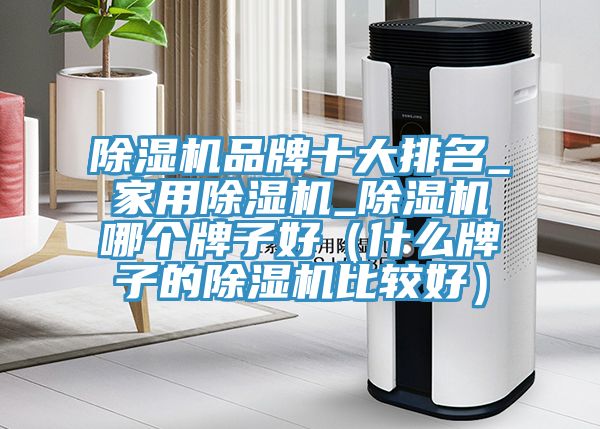 除濕機品牌十大排名_家用除濕機_除濕機哪個牌子好(什么牌子的除濕機比較好)