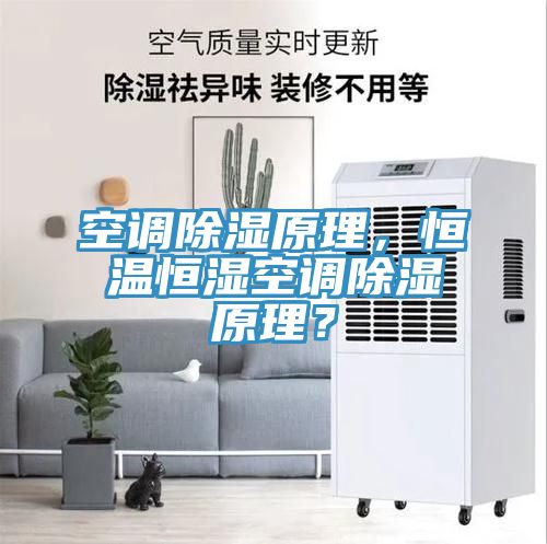 空調除濕原理,恒溫恒濕空調除濕原理?