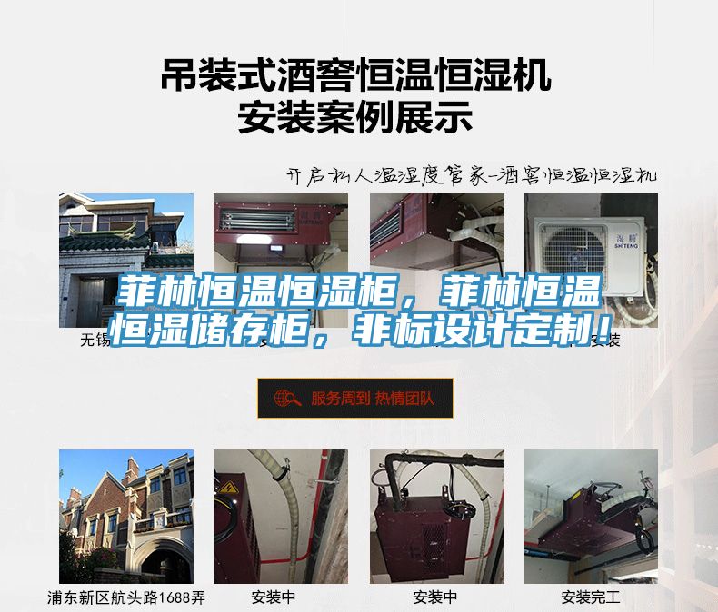 菲林恒溫恒濕柜，菲林恒溫恒濕儲存柜，非標設計定制！