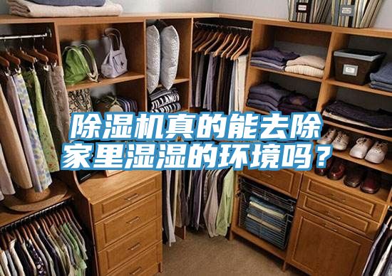 除濕機真的能去除家里濕濕的環境嗎?