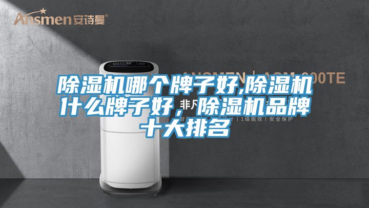 除濕機(jī)哪個(gè)牌子好,除濕機(jī)什么牌子好,除濕機(jī)品牌十大排名