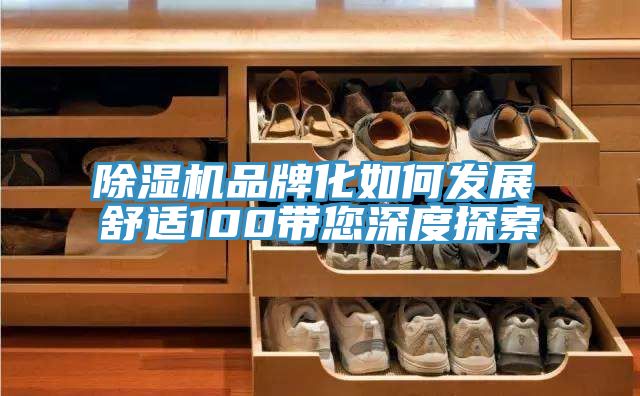 除濕機品牌化如何發展 舒適100帶您深度探索