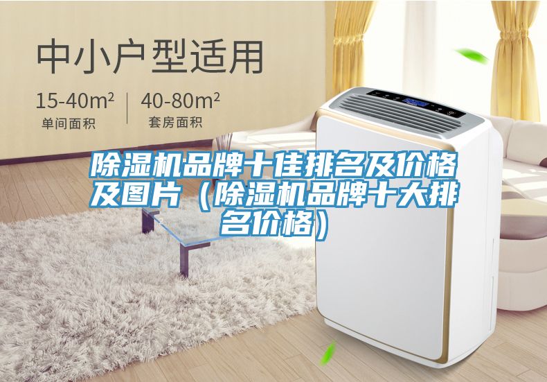 除濕機品牌十佳排名及價格及圖片(除濕機品牌十大排名價格)