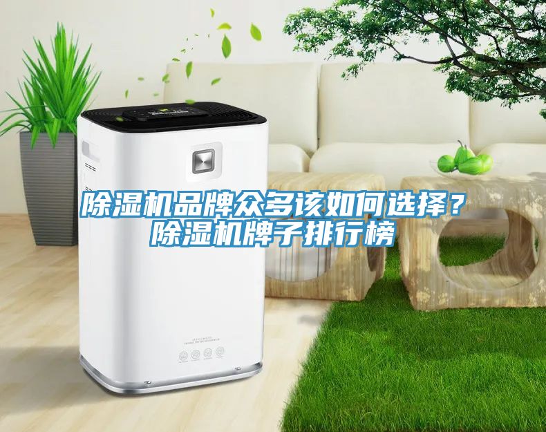 除濕機品牌眾多該如何選擇?除濕機牌子排行榜