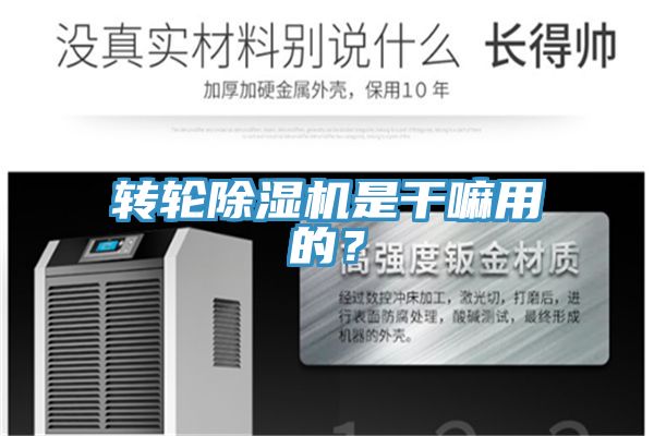 轉(zhuǎn)輪除濕機(jī)是干嘛用的?