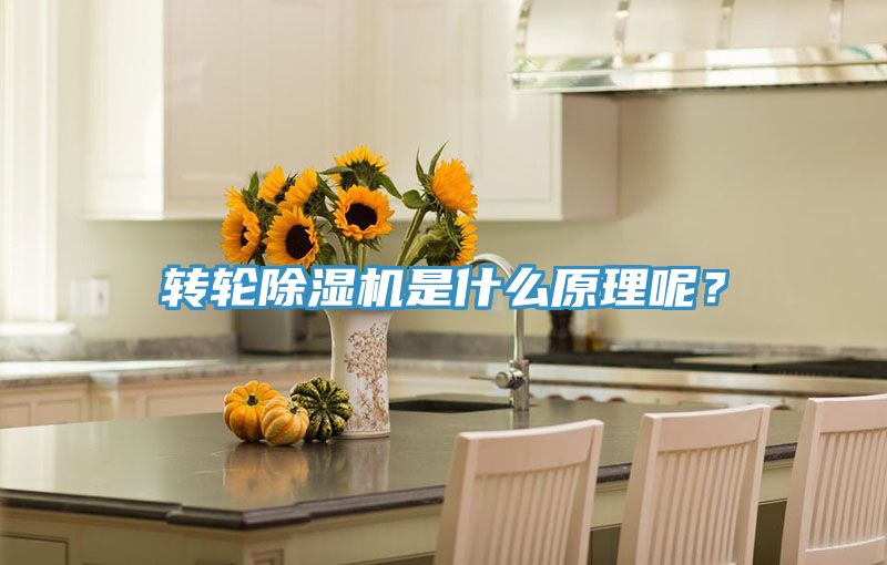 轉(zhuǎn)輪除濕機(jī)是什么原理呢?