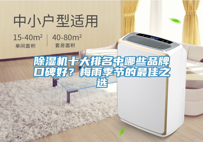 除濕機十大排名中哪些品牌口碑好?梅雨季節的最佳之選