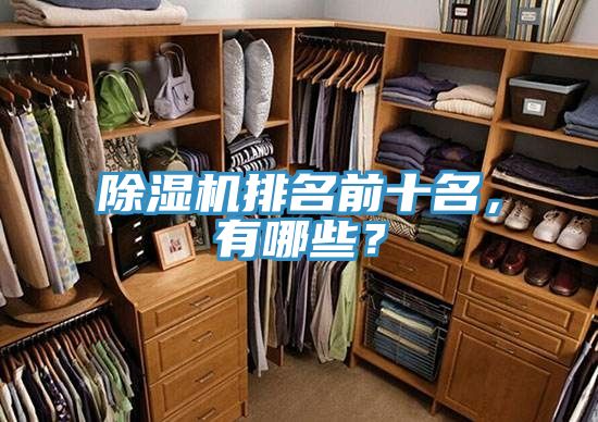 除濕機排名前十名，有哪些？