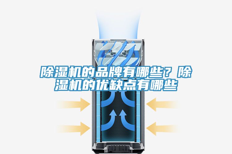 除濕機(jī)的品牌有哪些?除濕機(jī)的優(yōu)缺點(diǎn)有哪些