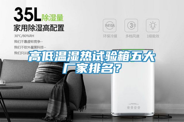 高低溫濕熱試驗箱五大廠家排名？
