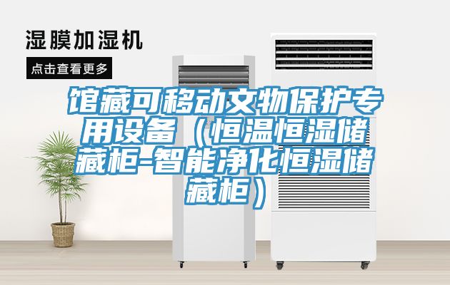 館藏可移動文物保護專用設備(恒溫恒濕儲藏柜-智能凈化恒濕儲藏柜)