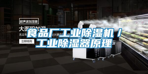 食品廠工業(yè)除濕機/工業(yè)除濕器原理